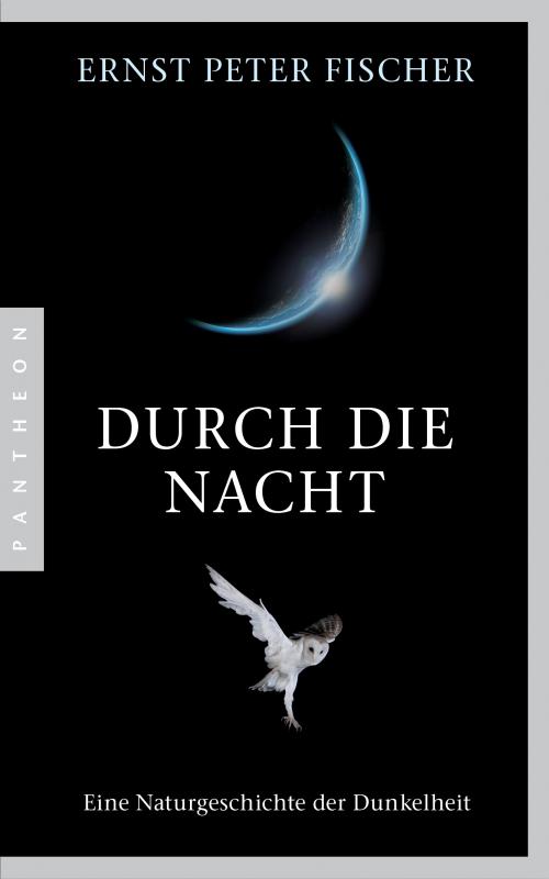 Cover-Bild Durch die Nacht