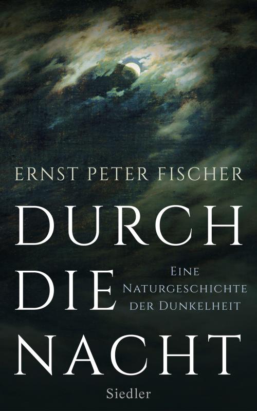 Cover-Bild Durch die Nacht