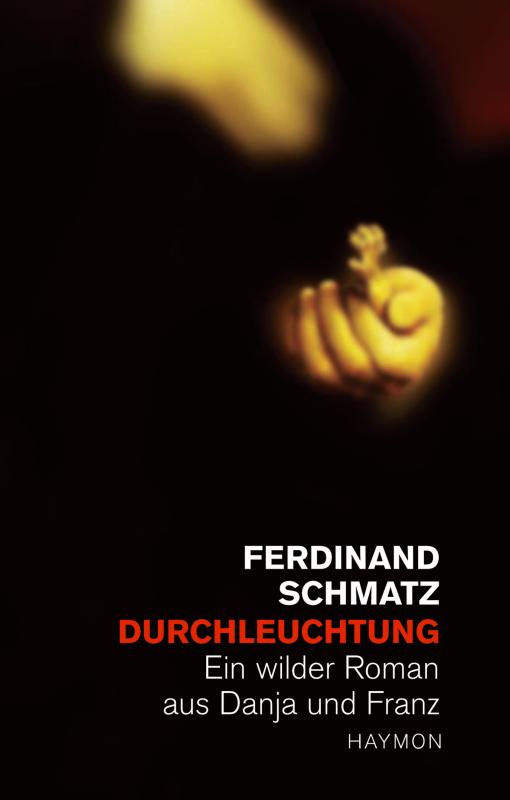 Cover-Bild Durchleuchtung