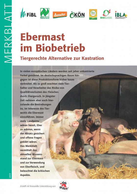 Cover-Bild Ebermast im Biobetrieb