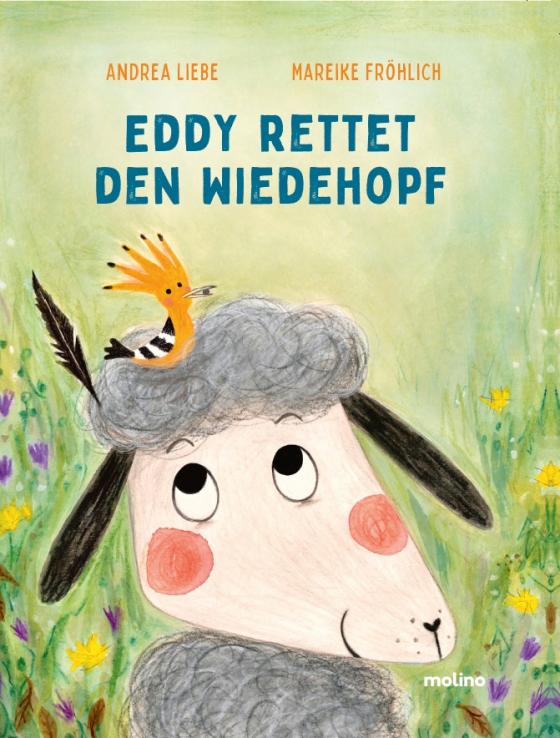 Cover-Bild Eddy rettet den Wiedehopf