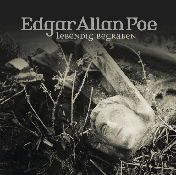 Cover-Bild Edgar Allan Poe - Folge 08