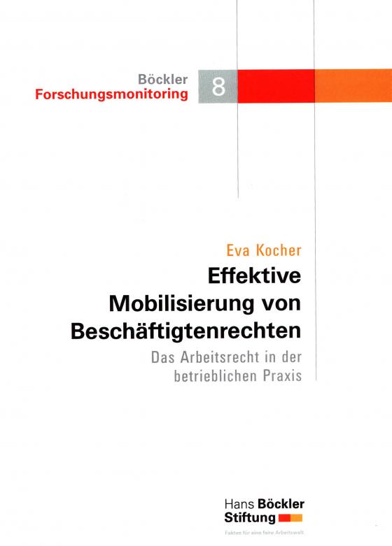 Cover-Bild Effektive Mobilisierung von Beschäftigtenrechten