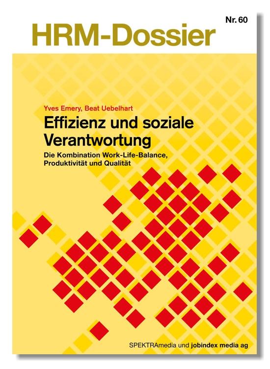 Cover-Bild Effizienz und soziale Verantwortung