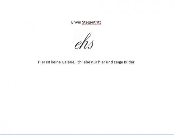 Cover-Bild EHS - Hier ist keine Galerie