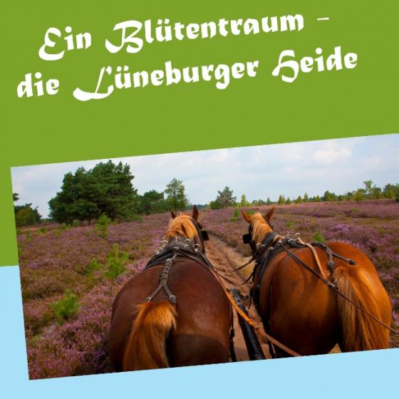 Cover-Bild Ein Blütentraum - die Lüneburger Heide