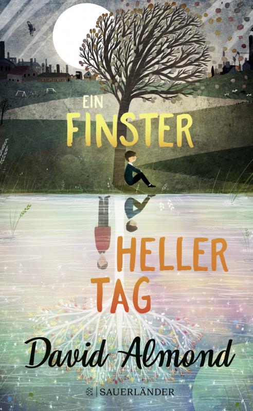 Cover-Bild Ein finsterheller Tag