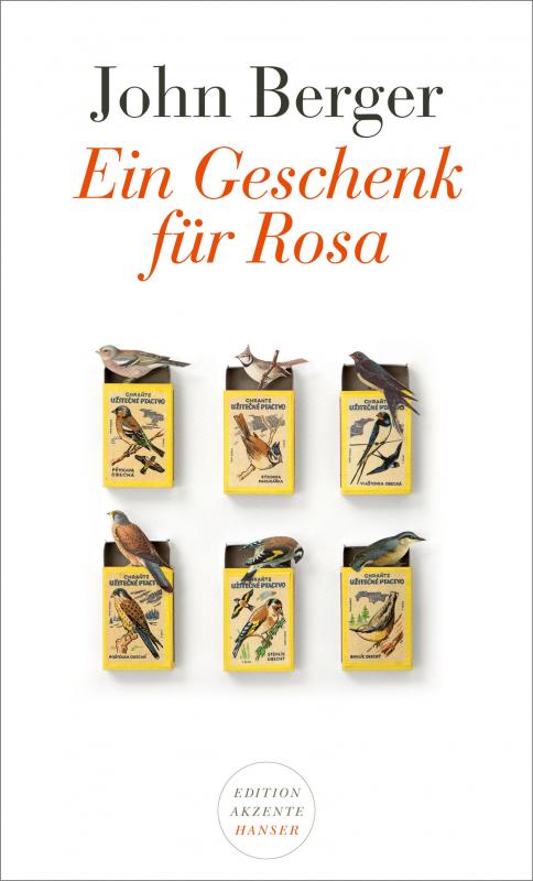 Cover-Bild Ein Geschenk für Rosa