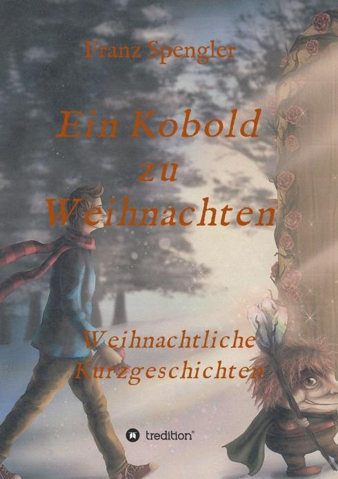 Cover-Bild Ein Kobold zu Weihnachten