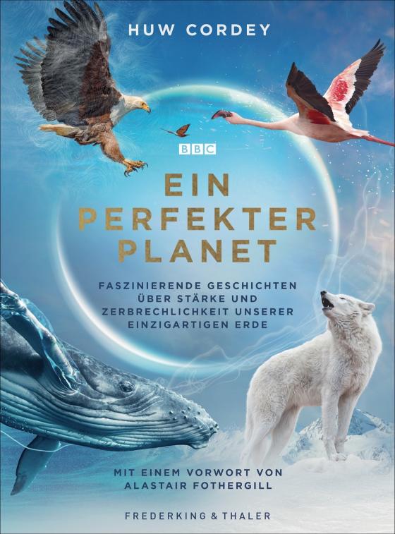 Cover-Bild Ein perfekter Planet