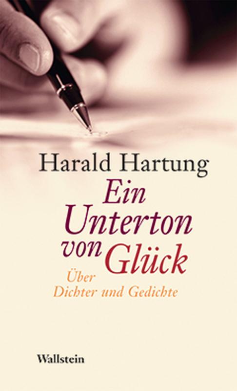 Cover-Bild Ein Unterton von Glück