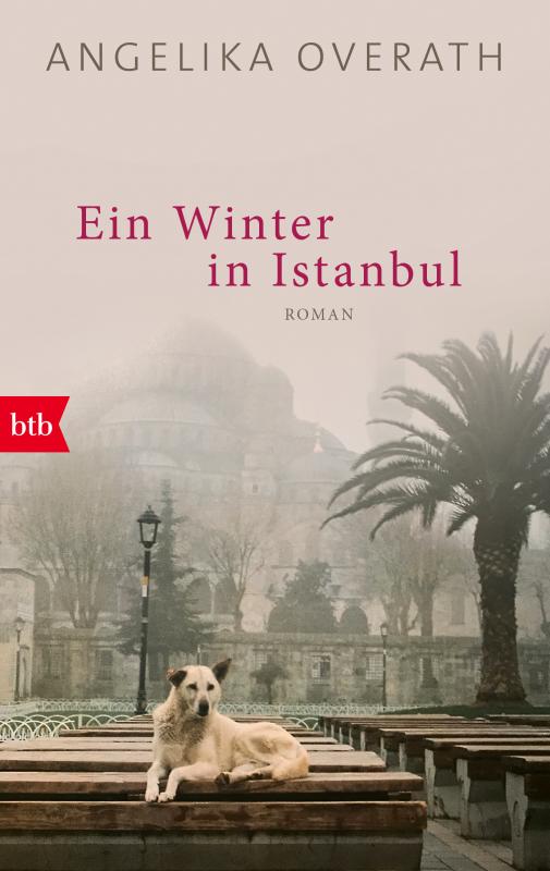 Cover-Bild Ein Winter in Istanbul