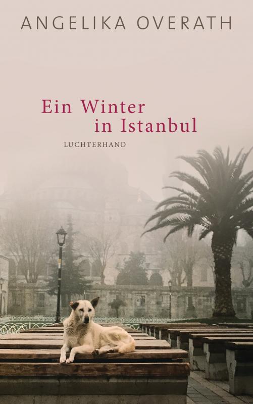 Cover-Bild Ein Winter in Istanbul