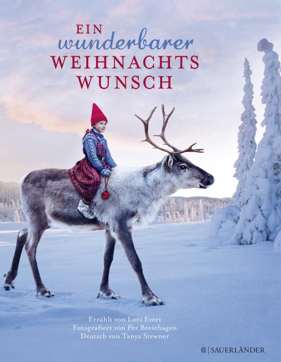 Cover-Bild Ein wunderbarer Weihnachtswunsch