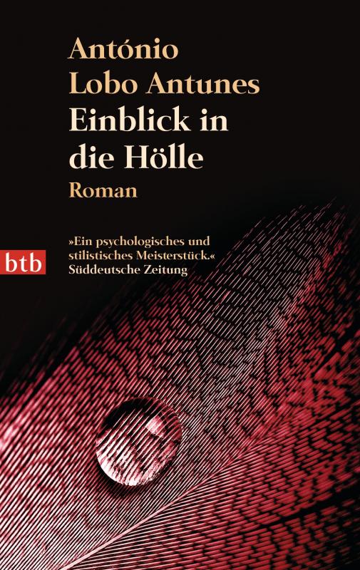 Cover-Bild Einblick in die Hölle