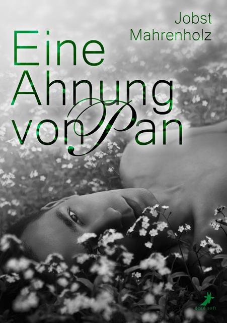 Cover-Bild Eine Ahnung von Pan