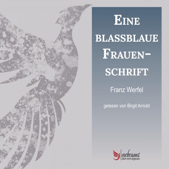 Cover-Bild Eine blassblaue Frauenschrift