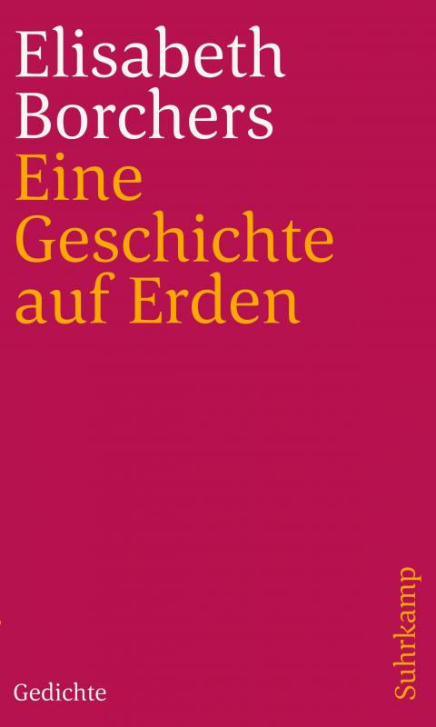 Cover-Bild Eine Geschichte auf Erden