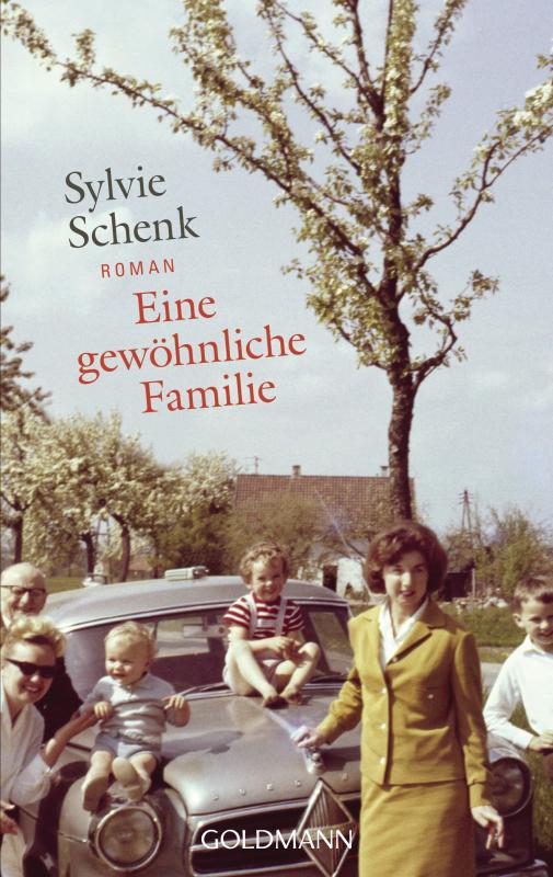 Cover-Bild Eine gewöhnliche Familie