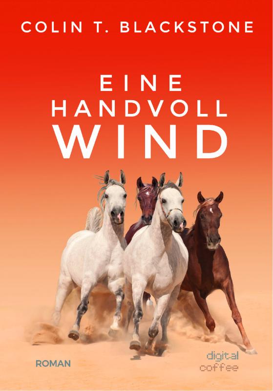 Cover-Bild Eine Handvoll Wind