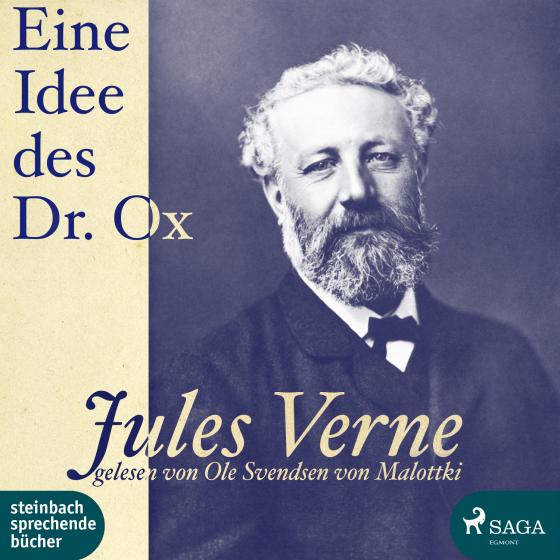 Cover-Bild Eine Idee des Dr. Ox