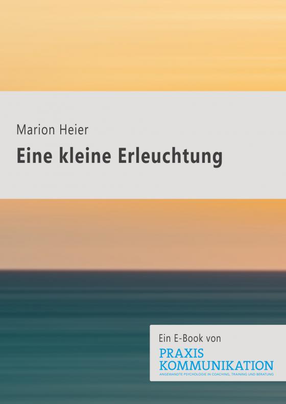 Cover-Bild Eine kleine Erleuchtung