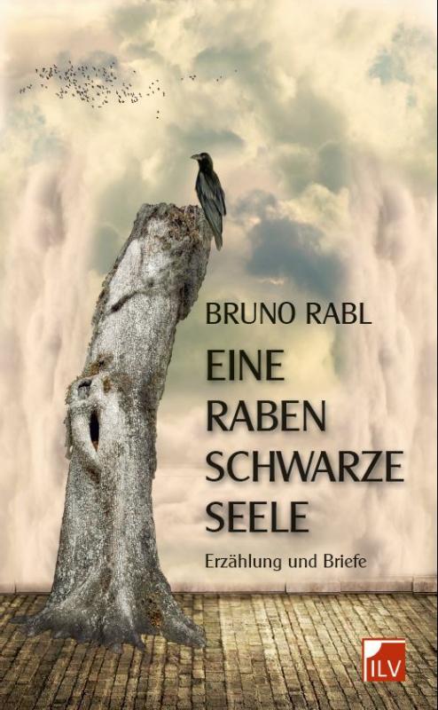 Cover-Bild Eine rabenschwarze Seele