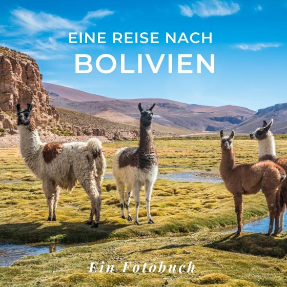 Cover-Bild Eine Reise nach Bolivien