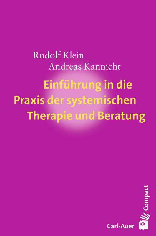 Cover-Bild Einführung in die Praxis der systemischen Therapie und Beratung