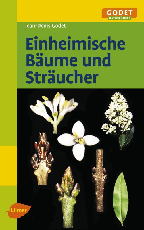 Cover-Bild Einheimische Bäume und Sträucher