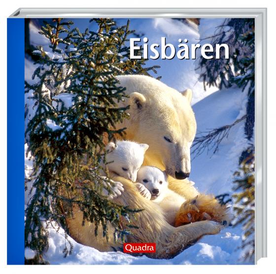 Cover-Bild Eisbären