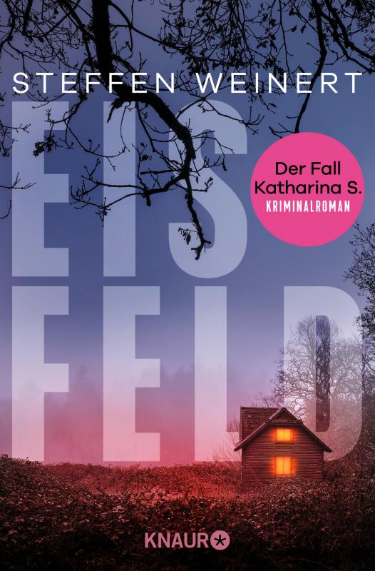 Cover-Bild Eisfeld - Der Fall Katharina S.