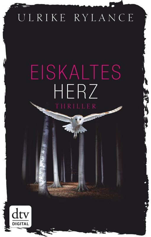 Cover-Bild Eiskaltes Herz