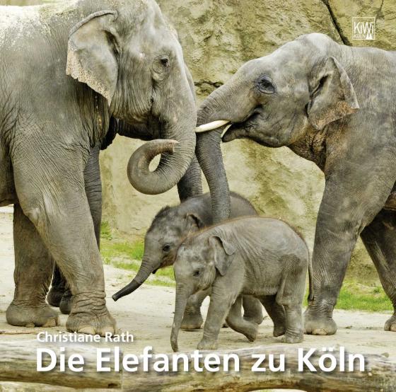 Cover-Bild Elefanten zu Köln