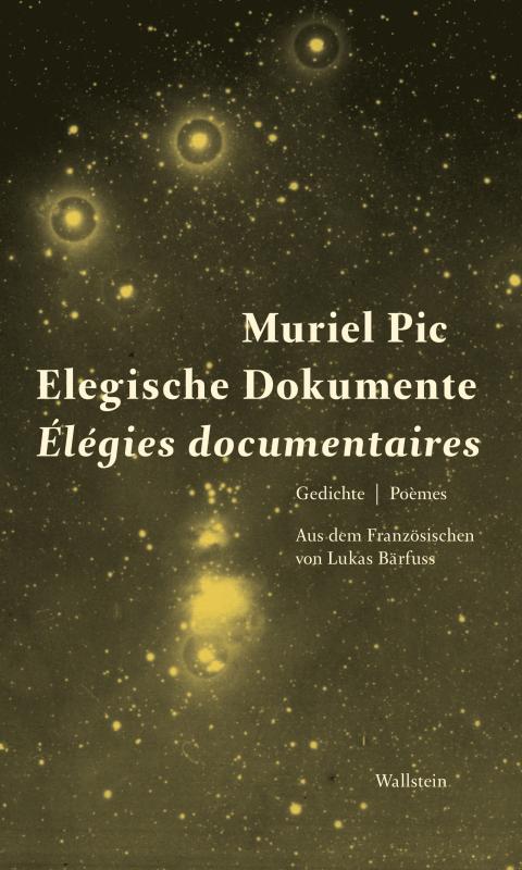 Cover-Bild Elegische Dokumente / Élegies documentaires