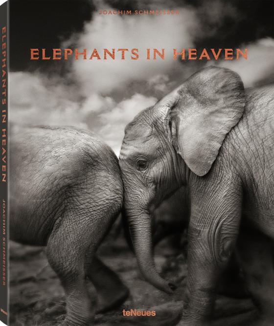 Cover-Bild Elephants in Heaven