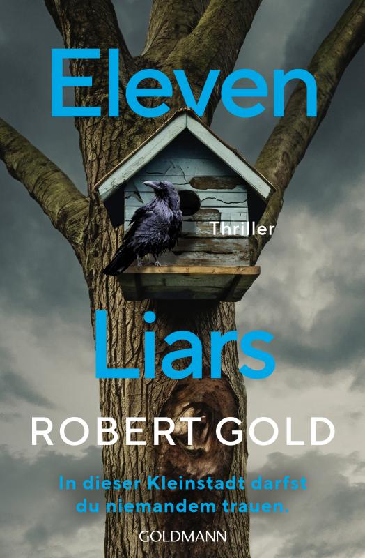 Cover-Bild Eleven Liars