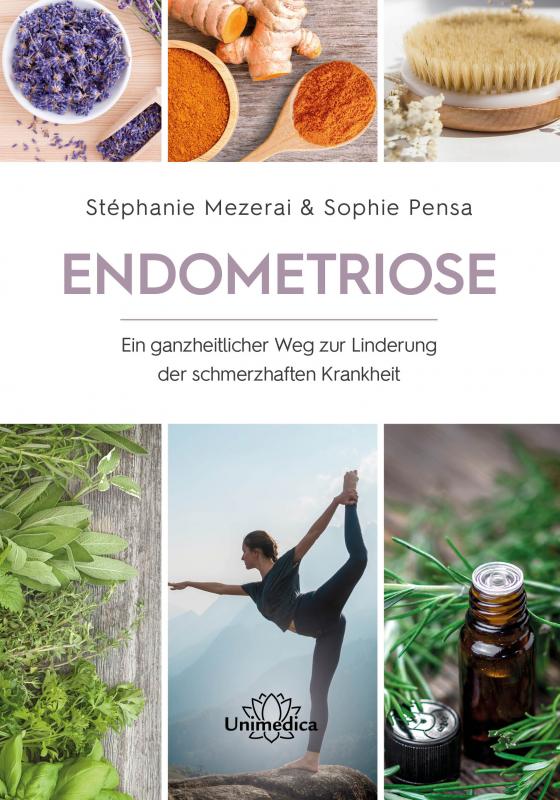 Cover-Bild Endometriose