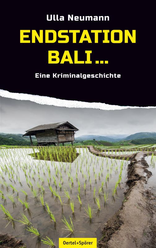 Cover-Bild Endstation Bali