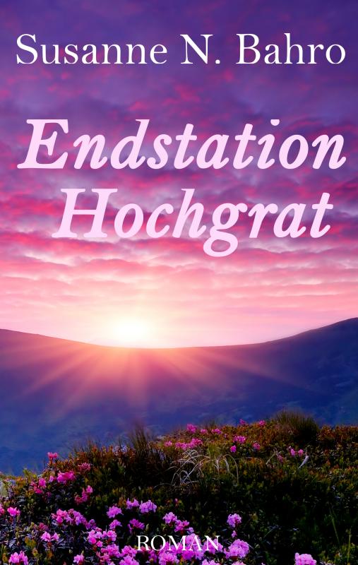 Cover-Bild Endstation Hochgrat