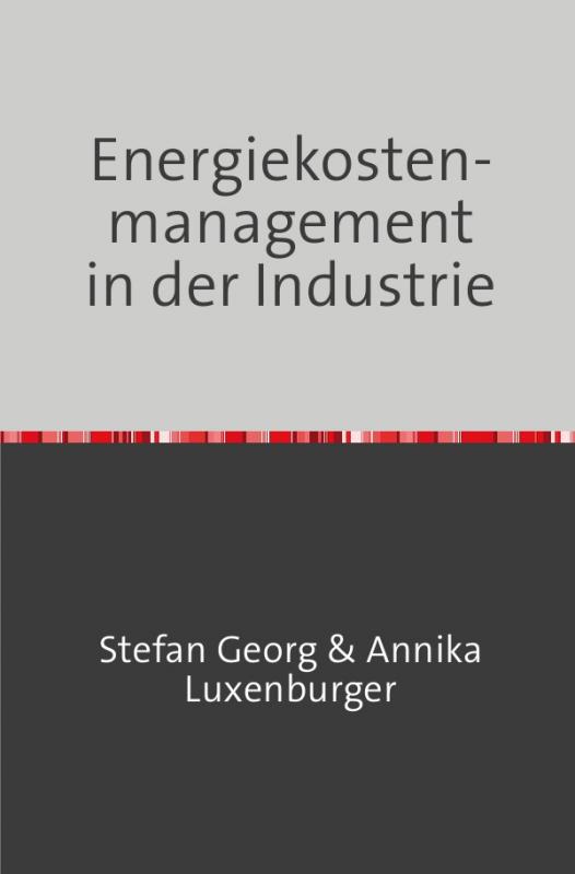 Cover-Bild Energiekostenmanagement in der Industrie