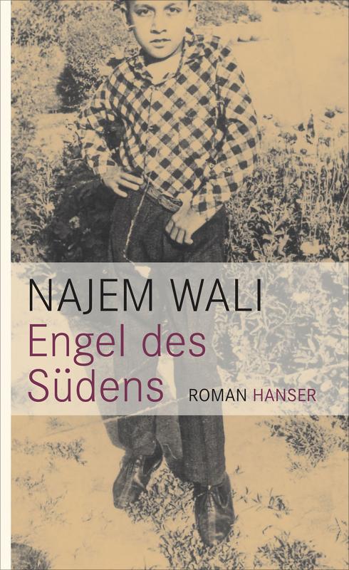 Cover-Bild Engel des Südens