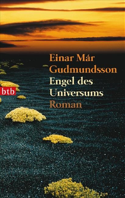 Cover-Bild Engel des Universums