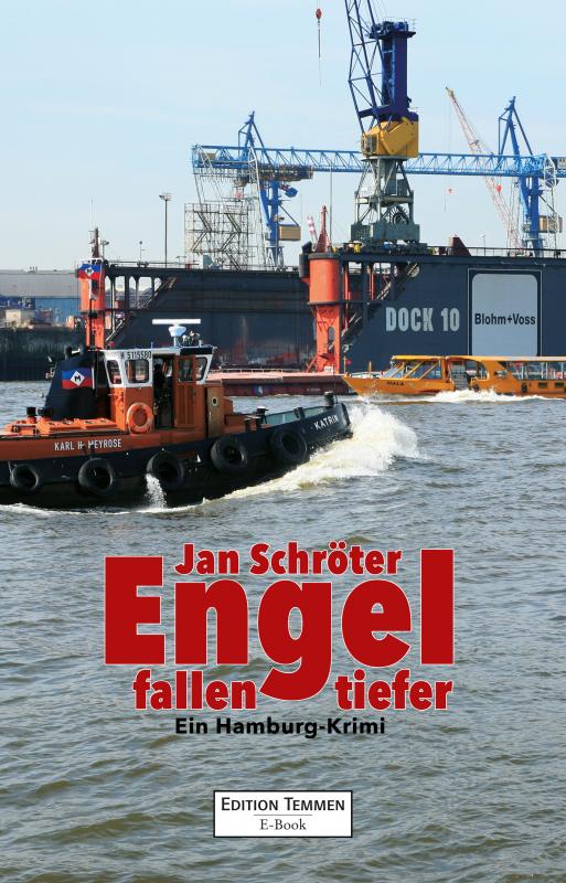 Cover-Bild Engel fallen tiefer