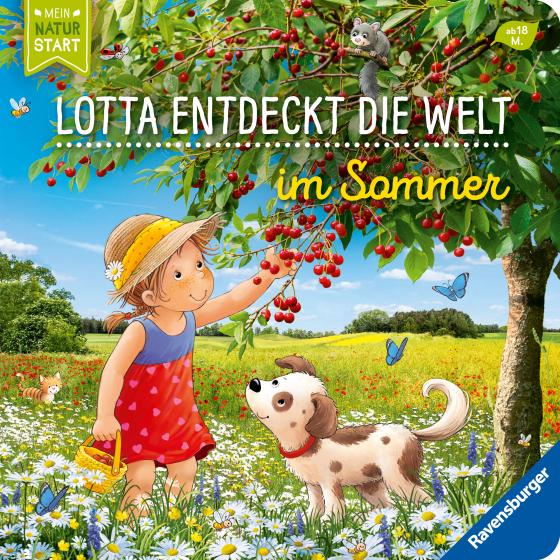 Cover-Bild Entdecke den Sommer mit Lotta