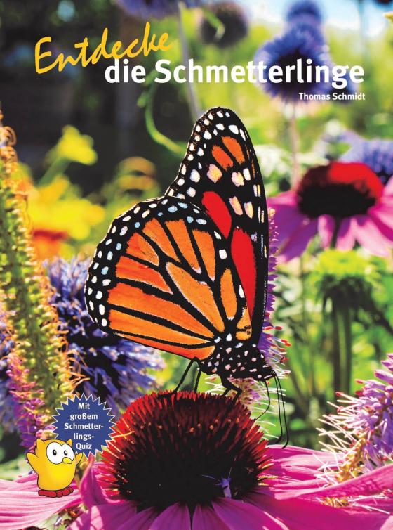 Cover-Bild Entdecke die Schmetterlinge