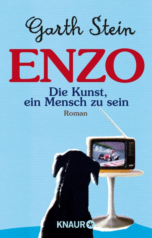 Cover-Bild Enzo oder Die Kunst, ein Mensch zu sein