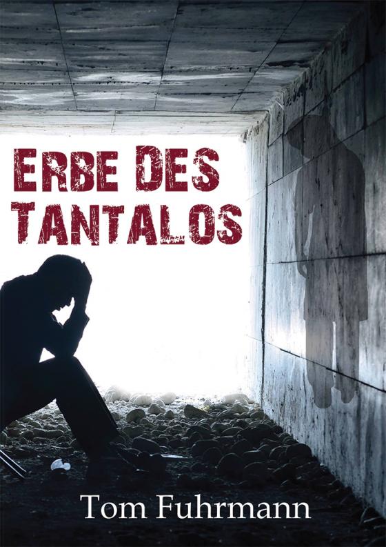 Cover-Bild Erbe des Tantalos