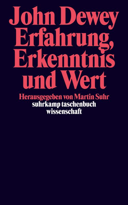 Cover-Bild Erfahrung, Erkenntnis und Wert