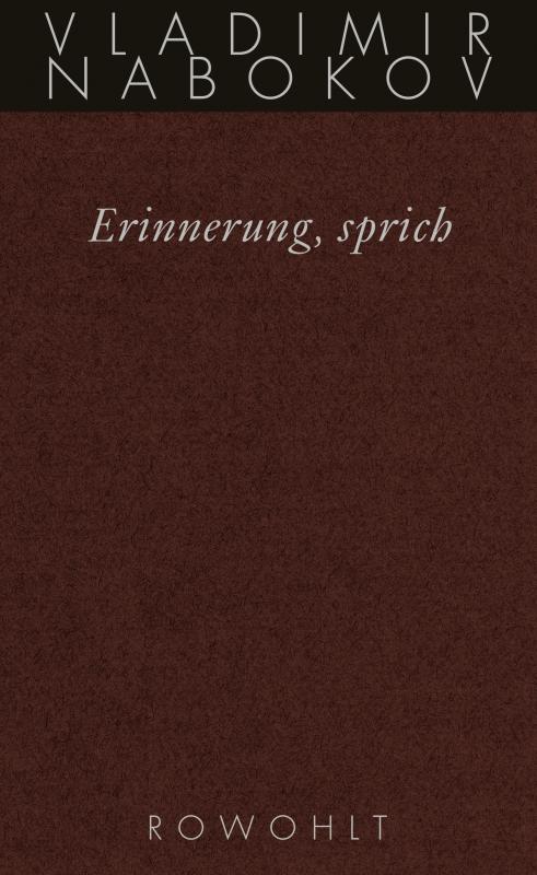Cover-Bild Erinnerung, sprich